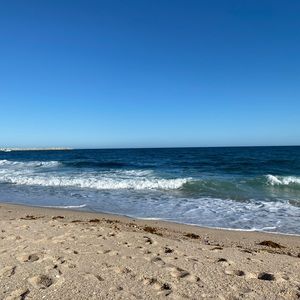 Meet your Posher, Frances